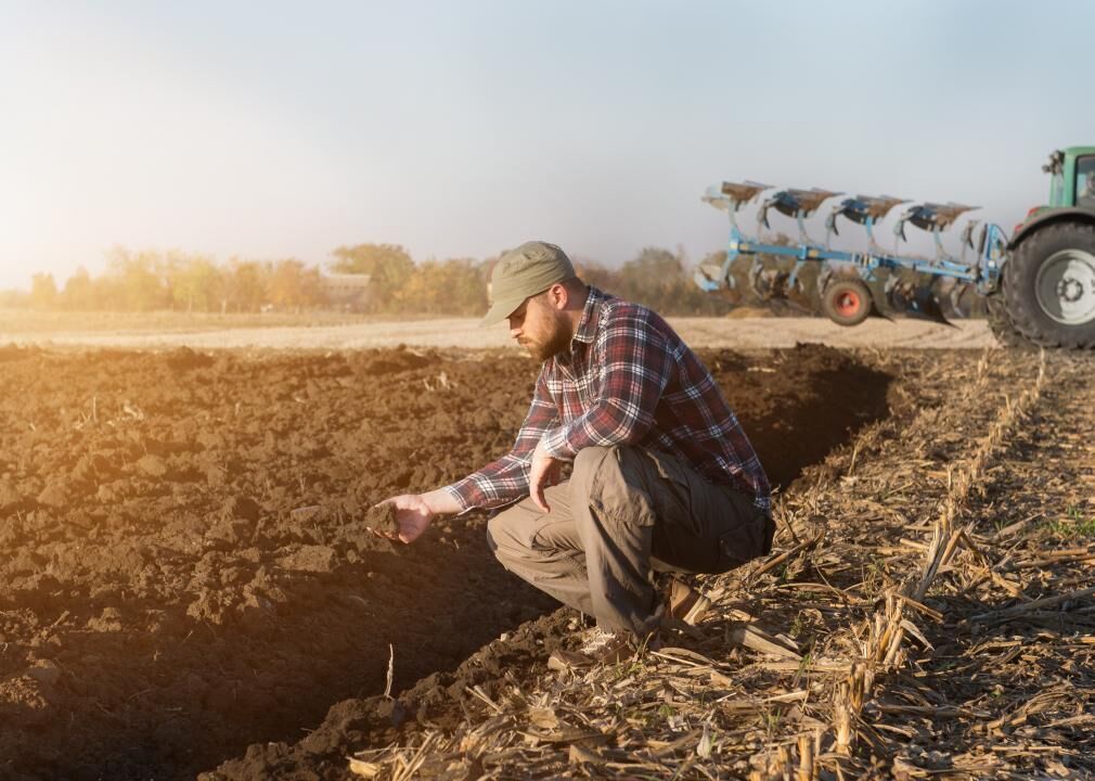 #67. Agriculture